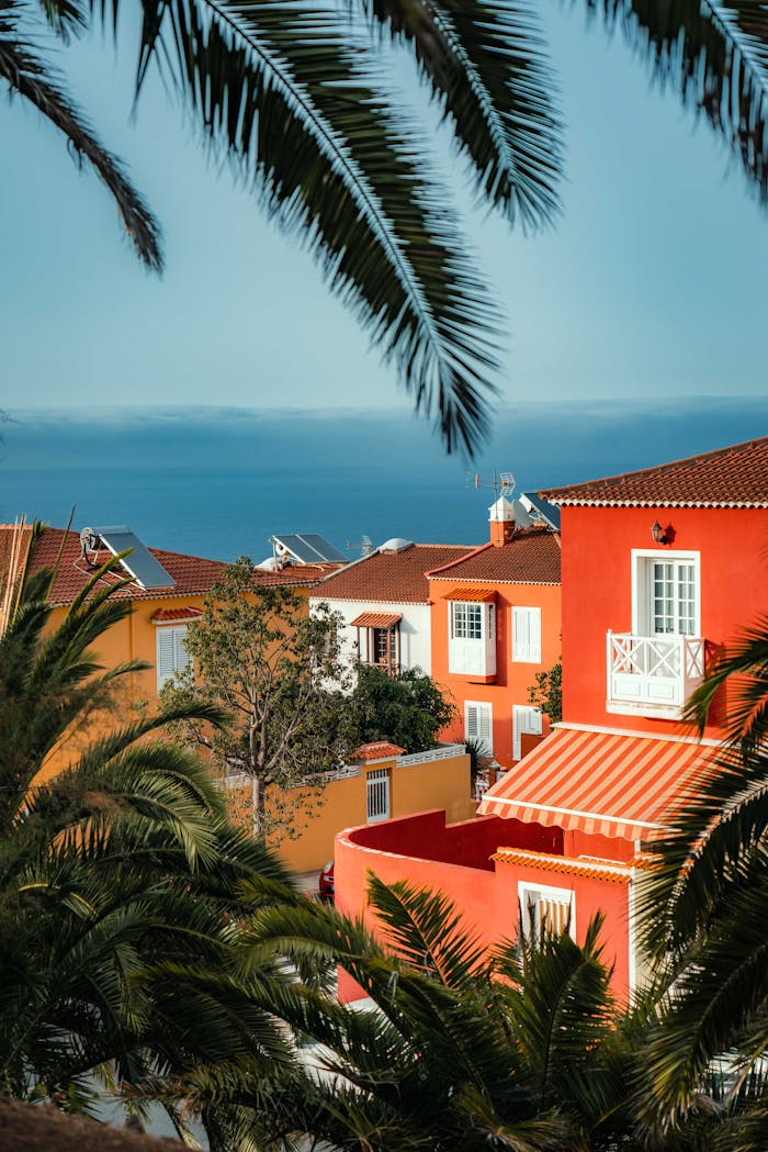 about-us-01 Vibrant Spanish villas with palm trees in La Orotava, Spain, by the sea.